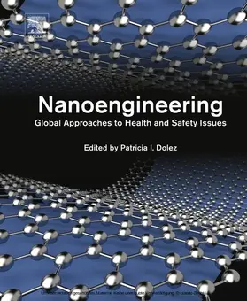 Dolez | Nanoengineering | E-Book | www.sack.de