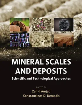 Amjad / Demadis | Mineral Scales and Deposits | E-Book | www.sack.de
