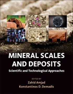 Amjad |  Mineral Scales and Deposits | Buch |  Sack Fachmedien