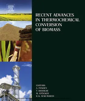 Pandey / Bhaskar / St”cker | Recent Advances in Thermochemical Conversion of Biomass | E-Book | sack.de