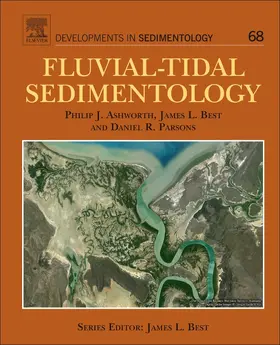 Ashworth |  Fluvial-Tidal Sedimentology | Buch |  Sack Fachmedien