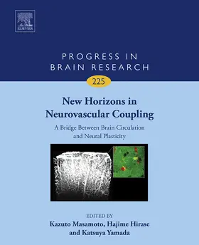 Masamoto / Hirase / Yamada |  New Horizons in Neurovascular Coupling: A Bridge Between Brain Circulation and Neural Plasticity | eBook | Sack Fachmedien