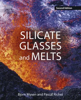 Mysen / Richet |  Silicate Glasses and Melts | eBook | Sack Fachmedien