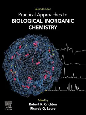Crichton / Louro | Practical Approaches to Biological Inorganic Chemistry | E-Book | www.sack.de