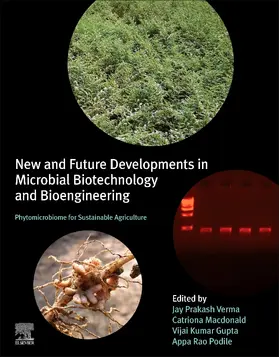 Verma / Macdonald / Gupta |  New and Future Developments in Microbial Biotechnology and Bioengineering: Phytomicrobiome for Sustainable Agriculture | Buch |  Sack Fachmedien