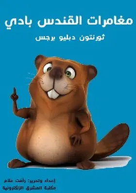 Allam |  Participation | eBook | Sack Fachmedien