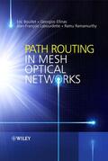 Bouillet / Ellinas / Labourdette |  Path Routing in Mesh Optical Networks | Buch |  Sack Fachmedien