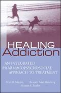 Martin / Weinberg / Bealer |  Healing Addiction | eBook | Sack Fachmedien