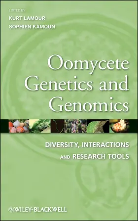 Lamour / Kamoun |  Oomycete Genetics and Genomics | Buch |  Sack Fachmedien