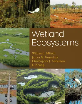 Mitsch / Gosselink / Zhang |  Wetland Ecosystems | Buch |  Sack Fachmedien