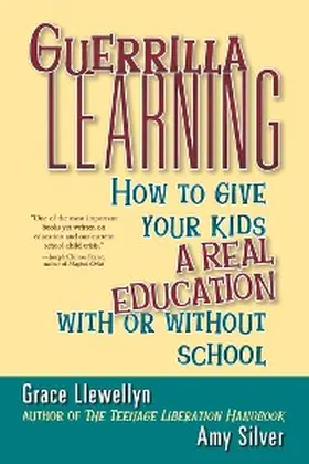 Llewellyn / Silver |  Guerrilla Learning | eBook | Sack Fachmedien