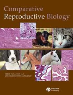 Schatten / Constantinescu |  Comparative Reproductive Biology | eBook | Sack Fachmedien