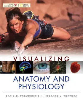 Freudenrich / Tortora |  Visualizing Anatomy and Physiology | Buch |  Sack Fachmedien