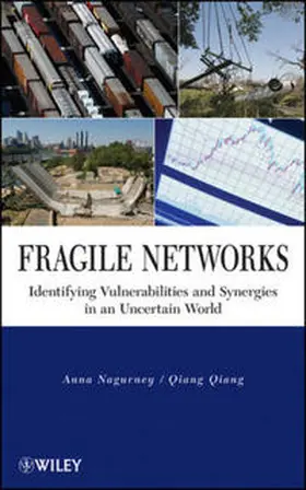 Nagurney / Qiang |  Fragile Networks | eBook | Sack Fachmedien