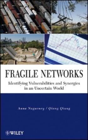 Nagurney / Qiang | Fragile Networks | E-Book | sack.de