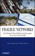 Nagurney / Qiang |  Fragile Networks | eBook | Sack Fachmedien