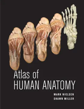 Nielsen / Miller |  Atlas of Human Anatomy | Buch |  Sack Fachmedien