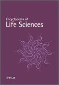 John Wiley & Sons Ltd |  Encyclopedia of Life Sciences, 32 Volume Set | Buch |  Sack Fachmedien