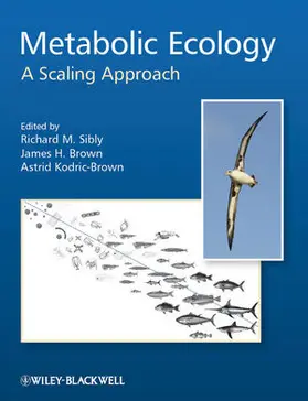 Sibly / Brown / Kodric-Brown |  Metabolic Ecology | Buch |  Sack Fachmedien