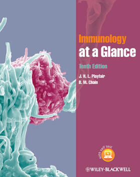 Chain / Playfair | Immunology at a Glance | Buch | 978-0-470-67303-4 | sack.de