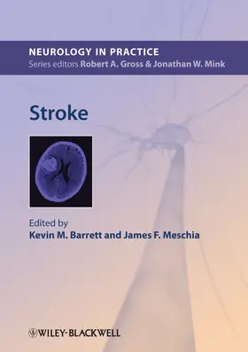 Barrett / Meschia | Stroke | Buch | 978-0-470-67436-9 | sack.de