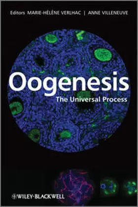 Verlhac / Villeneuve |  Oogenesis | eBook | Sack Fachmedien
