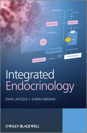 Laycock / Meeran |  Integrated Endocrinology | Buch |  Sack Fachmedien