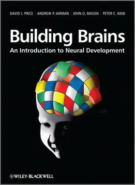Price / Jarman / Mason |  Building Brains: An Introduction to Neural Development | Buch |  Sack Fachmedien