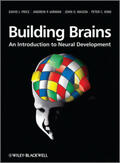 Price / Jarman / Mason |  Building Brains | Buch |  Sack Fachmedien