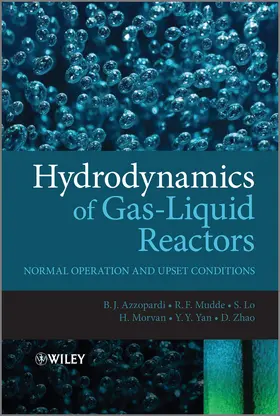 Azzopardi / Zhao / Yan |  Hydrodynamics of Gas-Liquid Reactors | Buch |  Sack Fachmedien