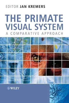 Kremers |  The Primate Visual System | Buch |  Sack Fachmedien