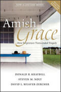 Kraybill / Nolt / Weaver-Zercher |  Amish Grace | eBook | Sack Fachmedien