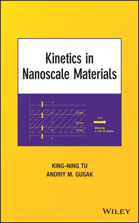 Tu / Gusak |  Kinetics in Nanoscale Materials | Buch |  Sack Fachmedien