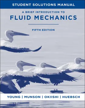 Young / Munson / Okiishi |  SSM t/a Brief Fluids, 5e | Buch |  Sack Fachmedien