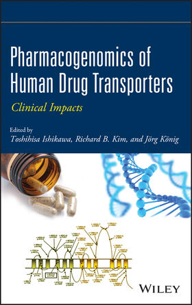 Ishikawa / Kim / König | Pharmacogenomics Transporters | Buch | 978-0-470-92794-6 | sack.de