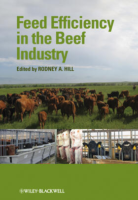 Hill | Feed Efficiency in the Beef Industry | Buch | 978-0-470-95952-7 | sack.de