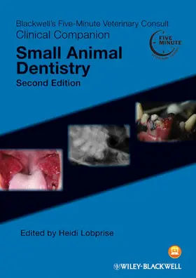 Lobprise |  5MVC CC Small Animal Dentistry | Buch |  Sack Fachmedien