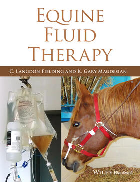Fielding / Magdesian |  Equine Fluid Therapy | Buch |  Sack Fachmedien