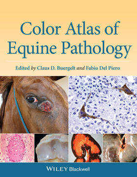Buergelt / Del Piero | Color Atlas of Equine Pathology | Buch | 978-0-470-96284-8 | sack.de