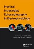 Ren / Marchlinski / Callans |  Practical Intracardiac Echocardiography in Electrophysiology | eBook | Sack Fachmedien