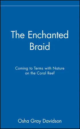 Davidson |  The Enchanted Braid | Buch |  Sack Fachmedien