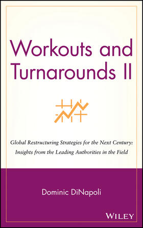 DiNapoli | Workouts and Turnarounds II | Buch | 978-0-471-24636-7 | sack.de