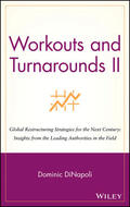 DiNapoli |  Workouts and Turnarounds II | Buch |  Sack Fachmedien