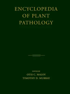 Maloy / Murray |  Encyclopedia of Plant Pathology | Buch |  Sack Fachmedien