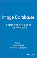 Castelli / Bergman |  Image Databases | Buch |  Sack Fachmedien