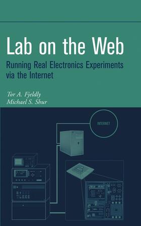 Fjeldly / Shur |  Lab on the Web | Buch |  Sack Fachmedien