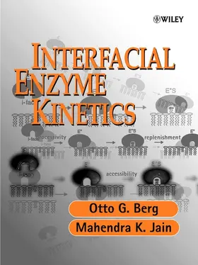 Berg / Jain |  Interfacial Enzyme Kinetics | Buch |  Sack Fachmedien