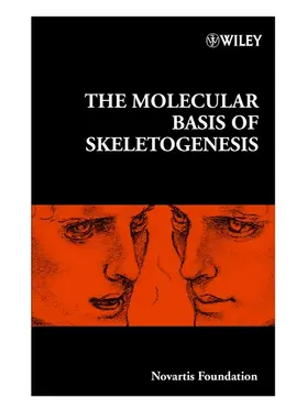 Cardew / Goode | The Molecular Basis of Skeletogenesis | Buch | 978-0-471-49433-1 | sack.de