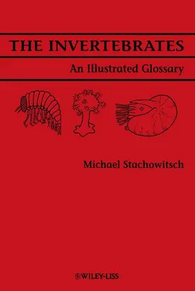 Stachowitsch |  The Invertebrates | Buch |  Sack Fachmedien