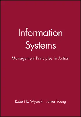 Wysocki / Young |  Information Systems | Buch |  Sack Fachmedien